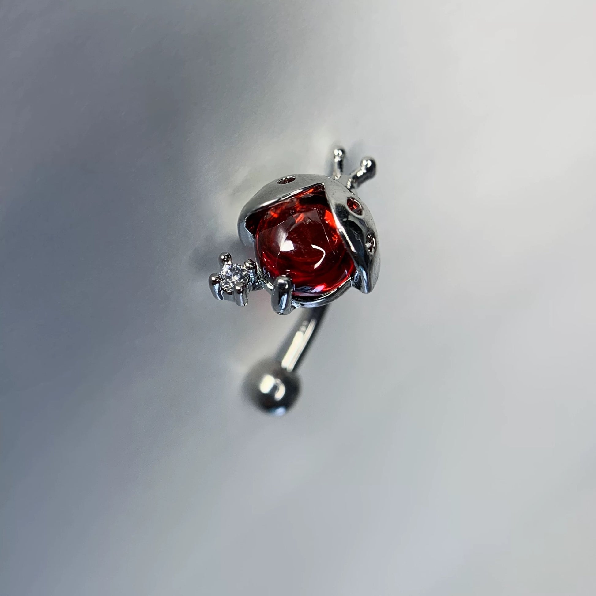Ladybird Charm Rook / Daith Earrings